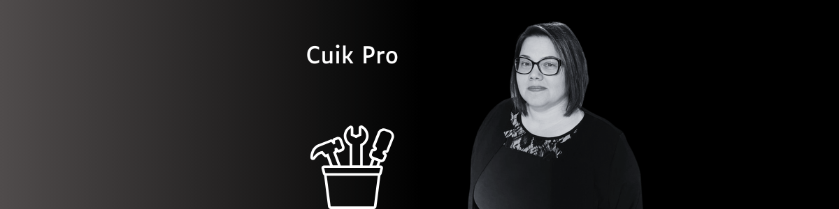 cuik pro audit seo technique