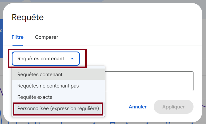 où renseigner les requêtes REGEX dans Google Search Console