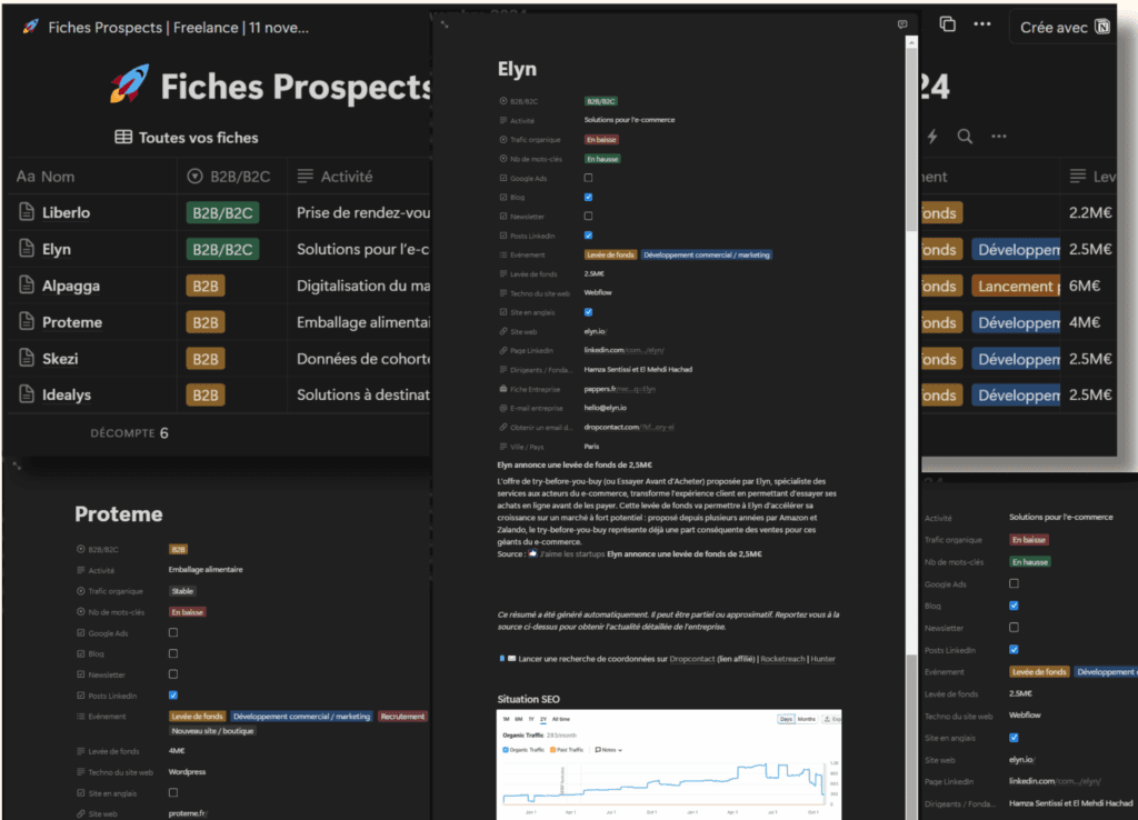 fiches prospects : aperçu d'une fiche détaillée pour la prospection SEO, SEA, Contenu